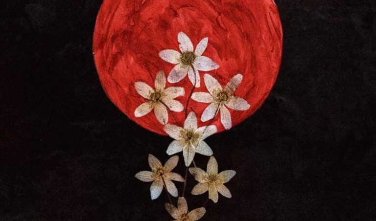 Swallow_The_Sun_moonflowers